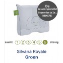 Silvana Support 6 Royale kussen GROEN - Extra STEVIG nu sloop KADO.