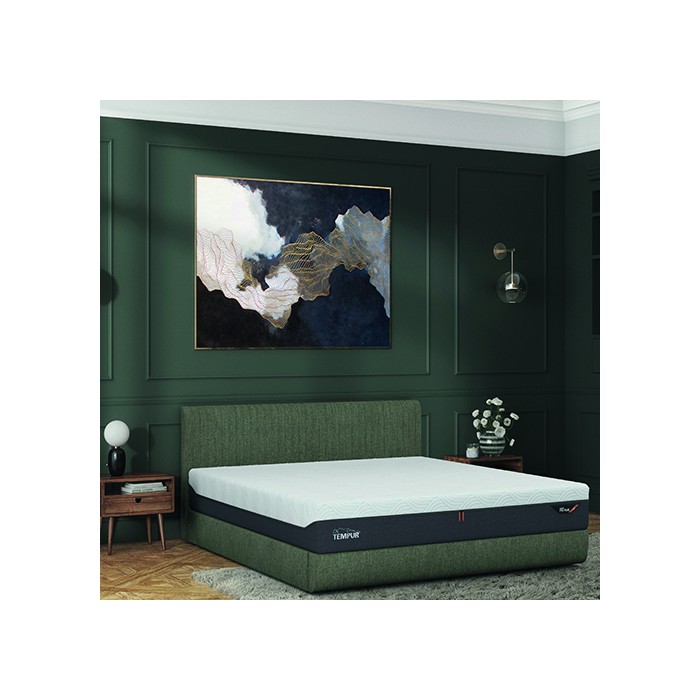 TEMPUR ARC BED + ARC schotel bodems (zonder matrassen).