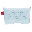 Silvana Support 1 Royale kussen ROOD - Extra ZACHT nu met TENCEL sloop KADO.